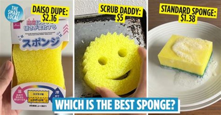Cleaning fan shares easy way she gets her Scrub Daddy sponges spotless to avoid buying new ones