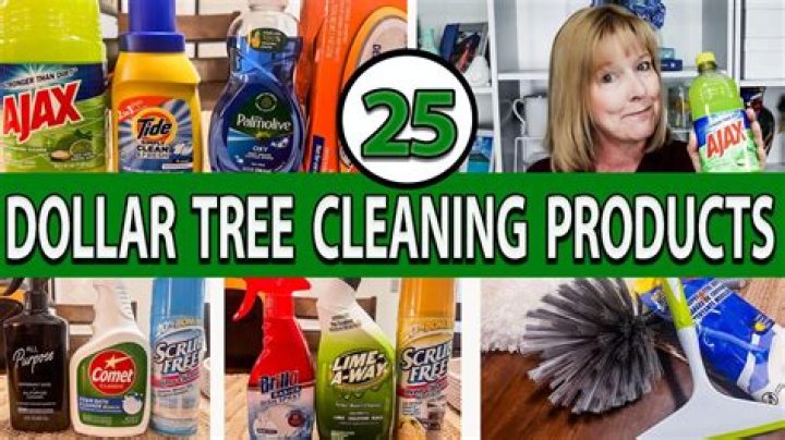 My Dollar Tree cleaning products are cheap but work - a must-have is so versatile, you can get different attachments
