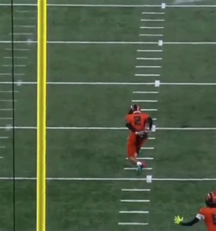 College football fans left stunned by Belleville star Adrian Walker Jr's 'best interception ever' from behind his back