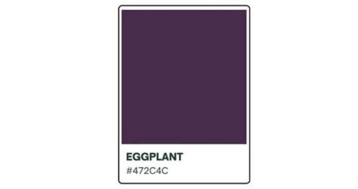 Exploring The Enigmatic Charm Of Colour Eggplant
