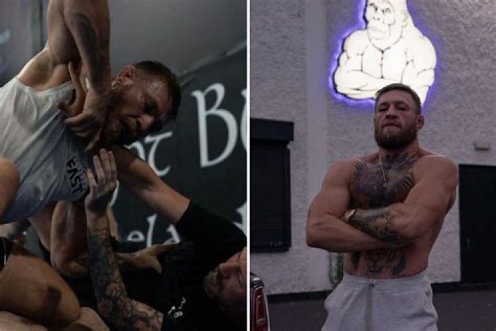 Conor McGregor likened to 140st GORILLA by coach after leaving him covered in marks from training for UFC return