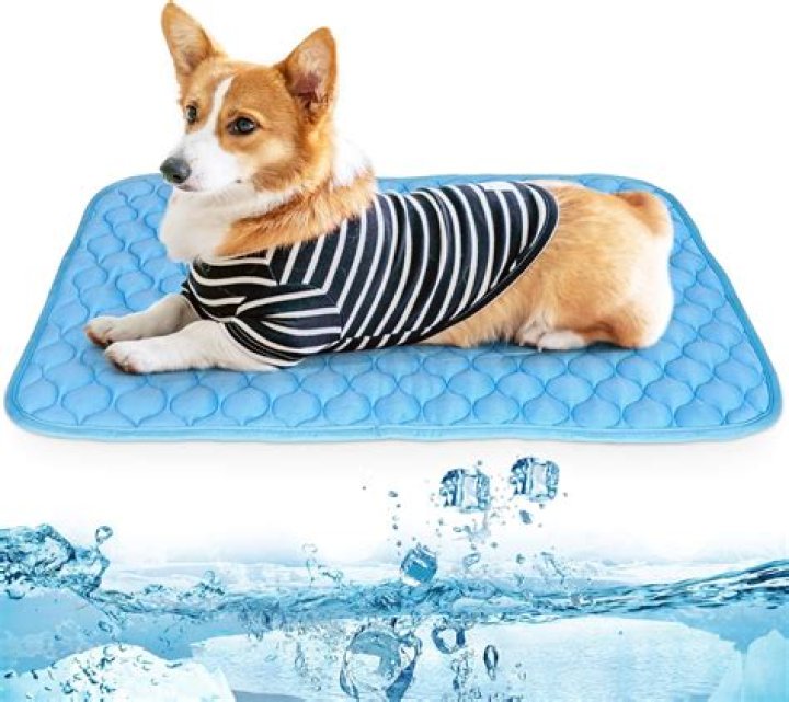 Discover The Ultimate Comfort: Cooling Blankets For Pets