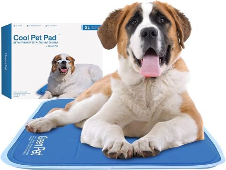 Keep Your Furry Friend Cool: The Benefits Of Cooling Mat Perros
