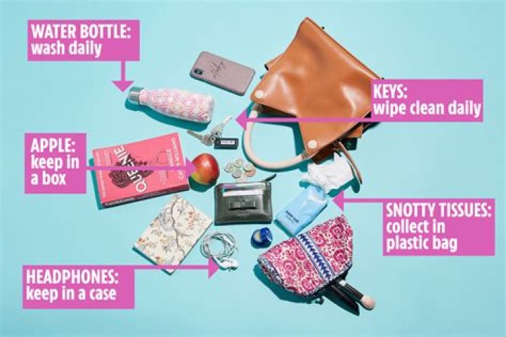 Coronavirus can survive in your handbag for several days – keep it clean with these easy tips – The US Sun