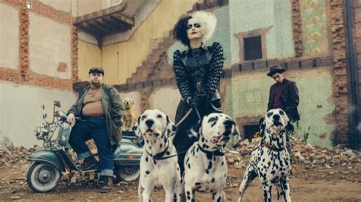 Cruella Wink: The Unveiling Of A Fashion Icon