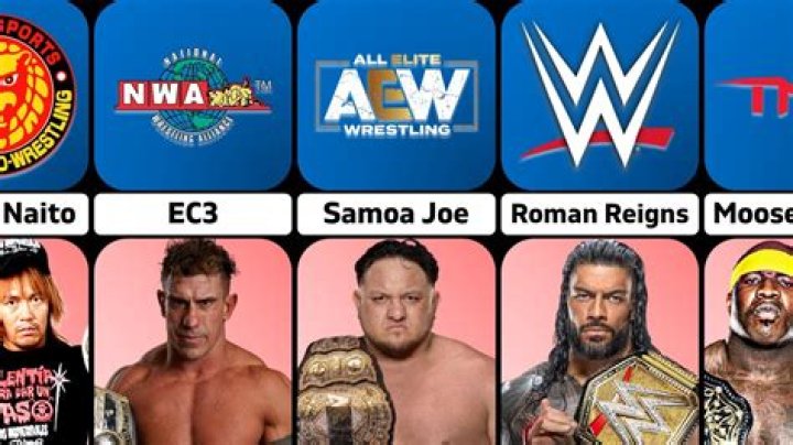 Current Progress Of WWE Working With Outside Global Pro Wrestling Companies