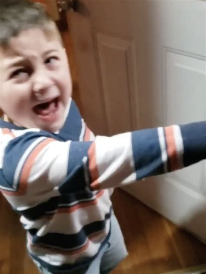 Dad accused of 'scarring kids' after they're left sobbing during 'evil' prank by Christmas ornament-stealing Grinch