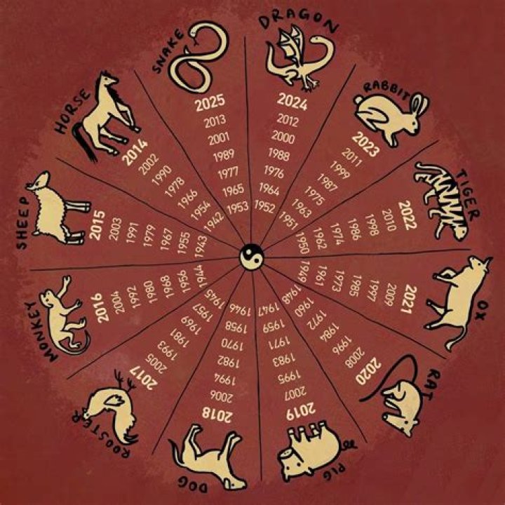 Daily Chinese Horoscope Sunday February 14: What your zodiac sign has in store for you today