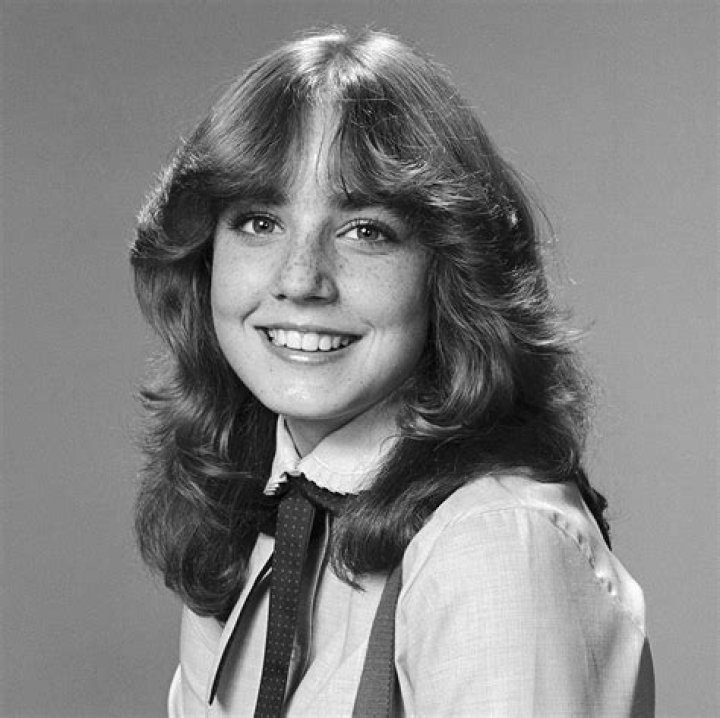Dana Plato Net Worth, Income, Salary, Earnings, Biography, How much money make?