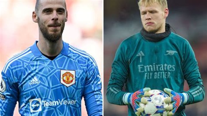 Newcastle hopes of Aaron Ramsdale transfer swoop fade after Arteta intervention as De Gea eyed to replace Nick Pope
