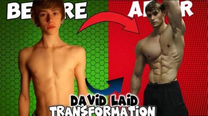 David Laid: The Transformation From Skinny To Fitness Icon