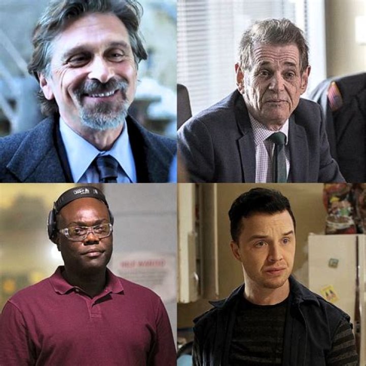 Unraveling The Intriguing Life Of Dennis Boutsikaris And His Role In "Shameless"