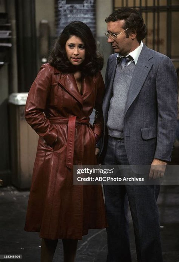 Diana Canova And Steve Landesberg: A Journey Through Talent And Friendship