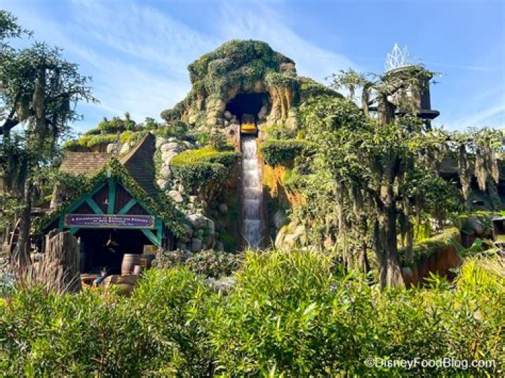 Popular amusement park makes major change to iconic ride and fans are all saying the same thing