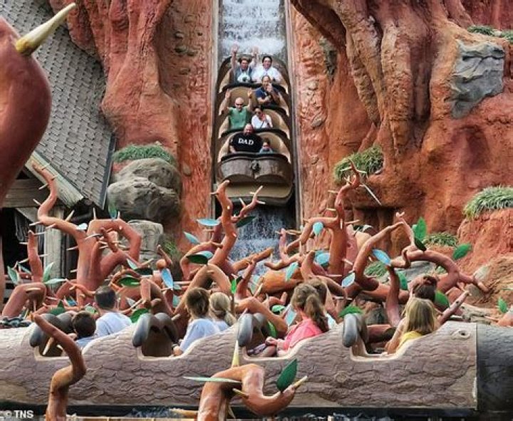 Disney World's Splash Mountain to Close on Jan. 23, 2023