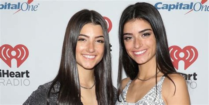 Dixie D'Amelio's Ethnicity: Unveiling The Cultural Tapestry