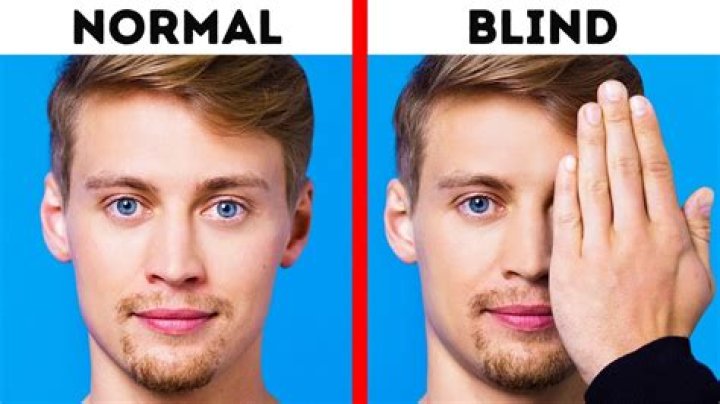 Do Blind People Know How People Look Like
