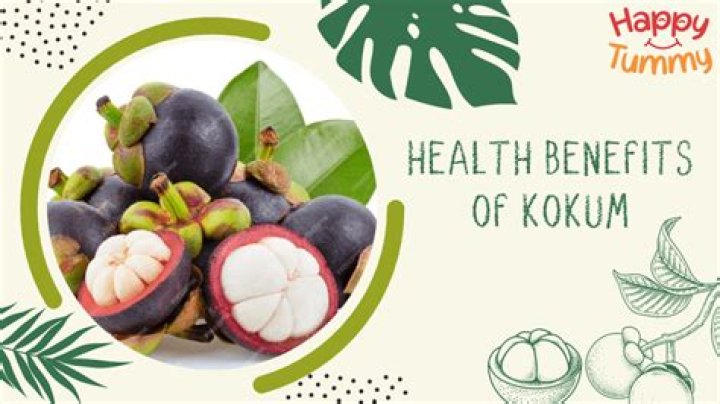 Do you know about kokum fruit? Health benefits of this summer superfruit you cannot miss – India TV