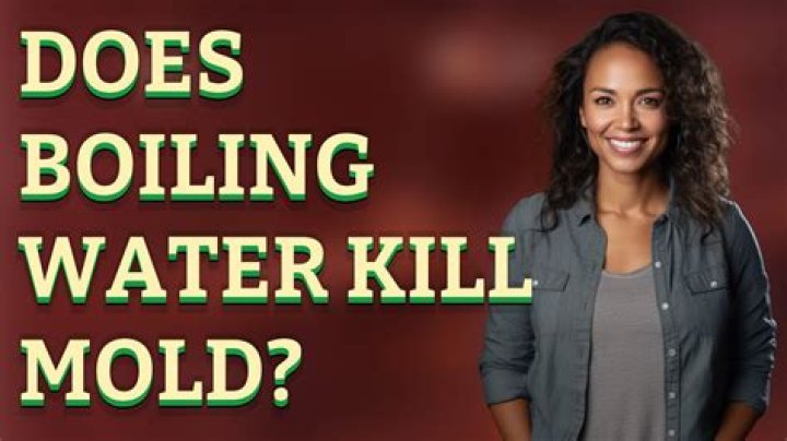 Quick Answer: Does Boiling Water Kill Mold