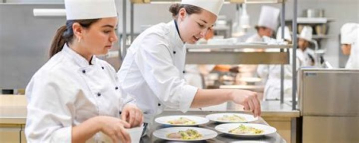 Question: Does Culinary Arts Count As A Fine Art