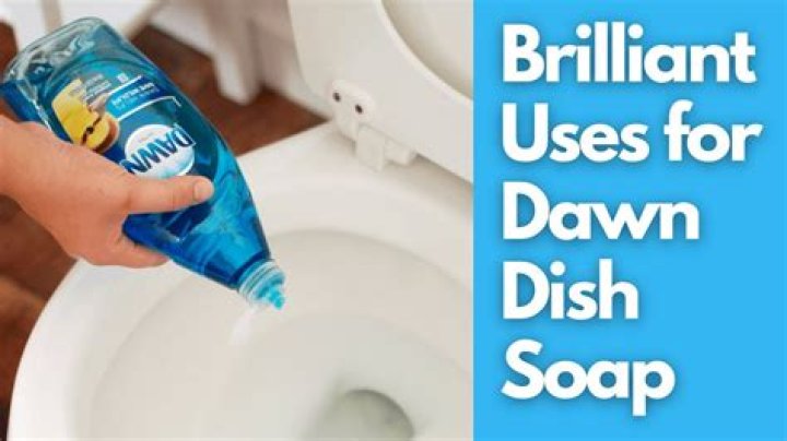 Question: Does Dawn Dish Soap Clean Toilets