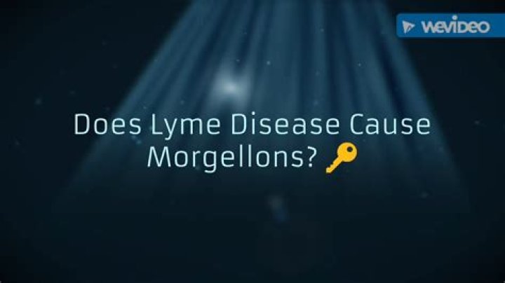 What it’s like to live with Morgellons, a disease the CDC says isn’t real