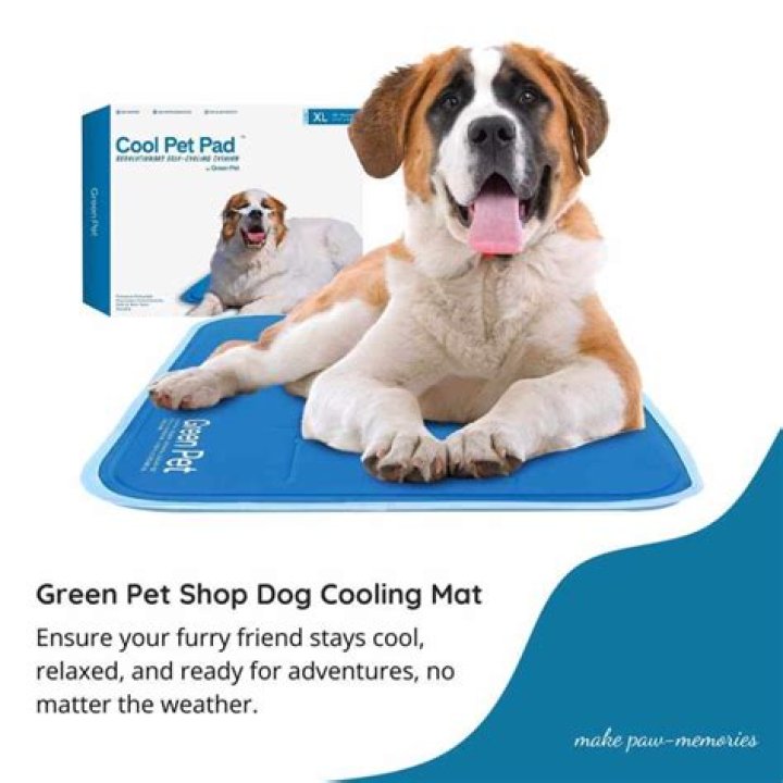 Cooling Solutions For Your Furry Friend: The Dog Cooling Mat From Aldi