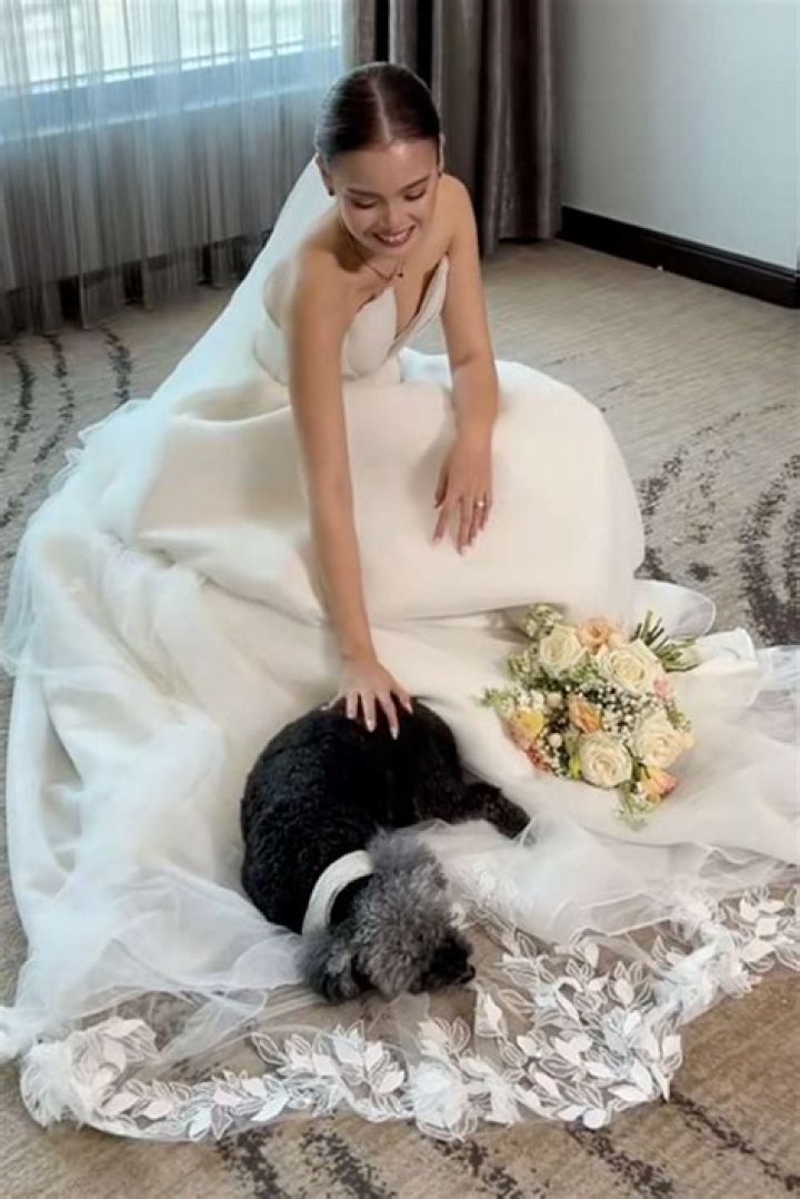 Dog curls up next to Gordon Lightfoot’s casket during memorial service: “Gordon loved dogs”