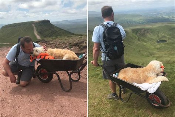 Touching pics show dog owner pushing dying pooch up pet’s favourite mountain in wheelbarrow for 'one final adventure'