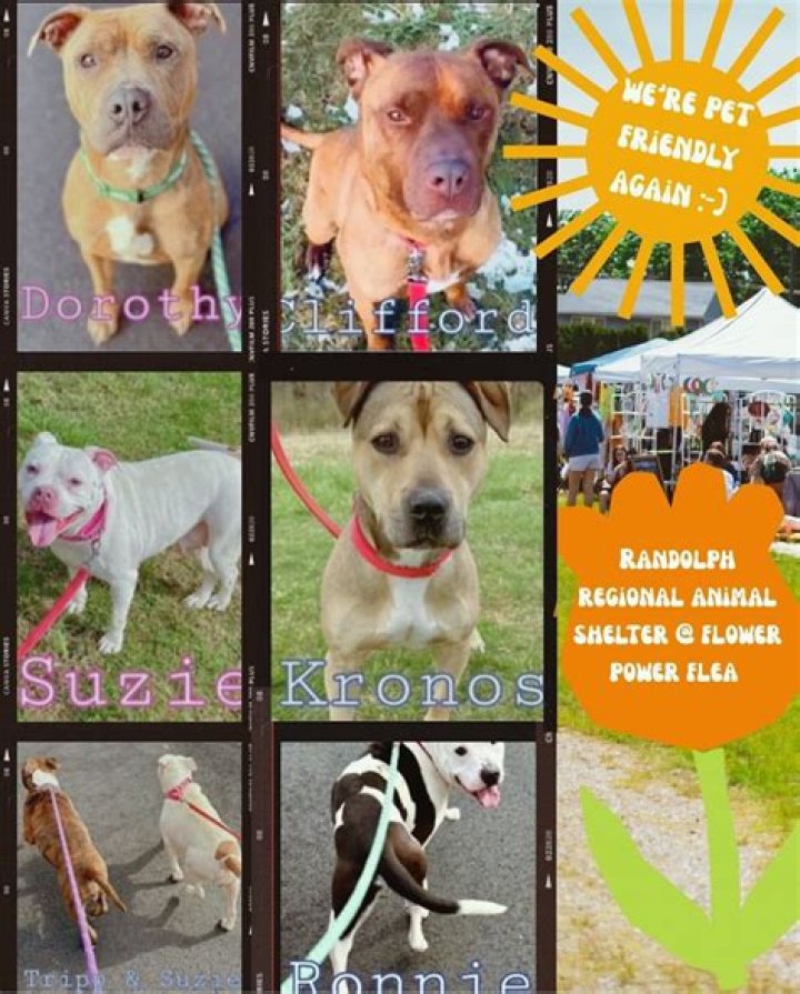 Unveiling The Life And Legacy Of Dorothy Lifford