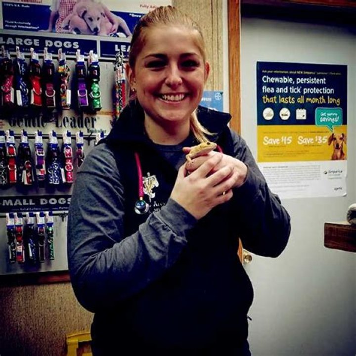 Understanding The Roles And Expertise Of Dr. Pol Vet Staff