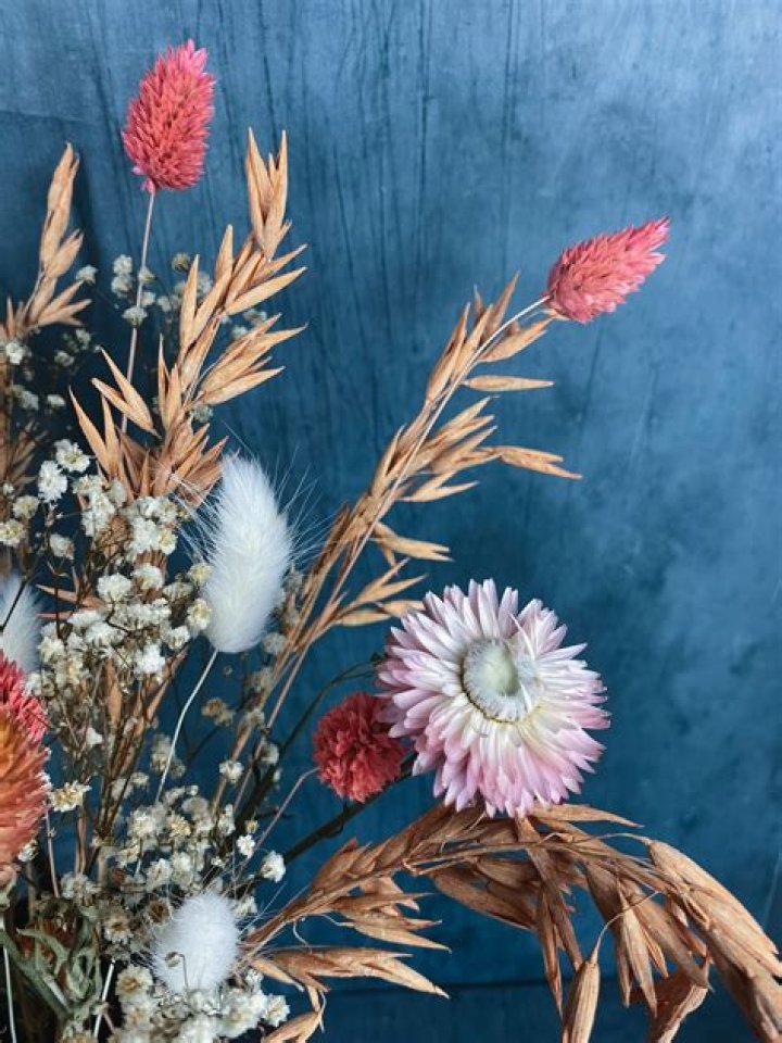Dried Flowers: 33 Best Dried Flowers to Shop 2022