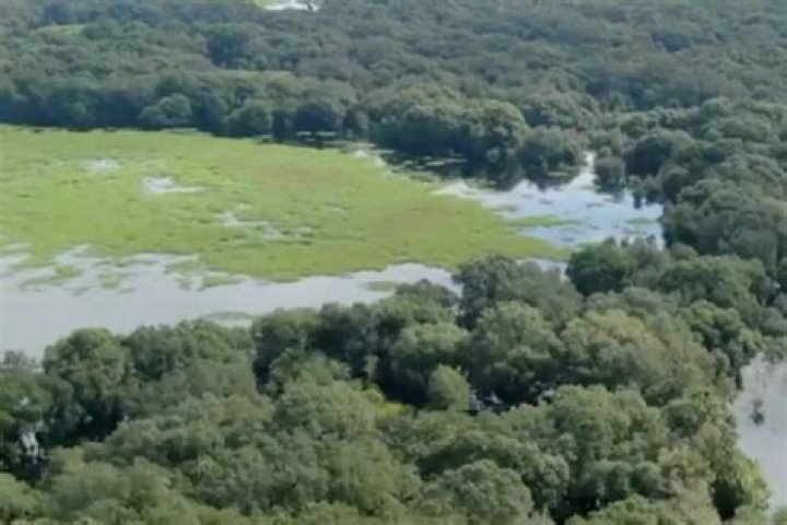 Drone footage reveals huge Brian Laundrie search as Dog the Bounty Hunter and bloodhounds try to track him down