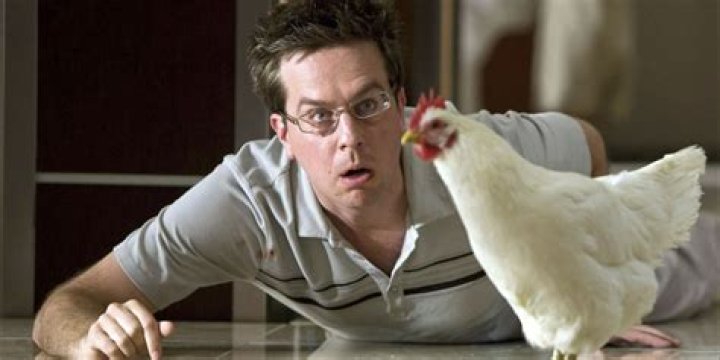 Ed Helms Movies: Top 5 Fan Favorites