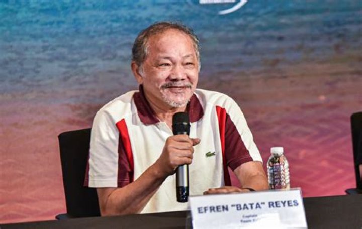 Efren Reyes Net Worth, Income, Salary, Earnings, Biography, How much money make?
