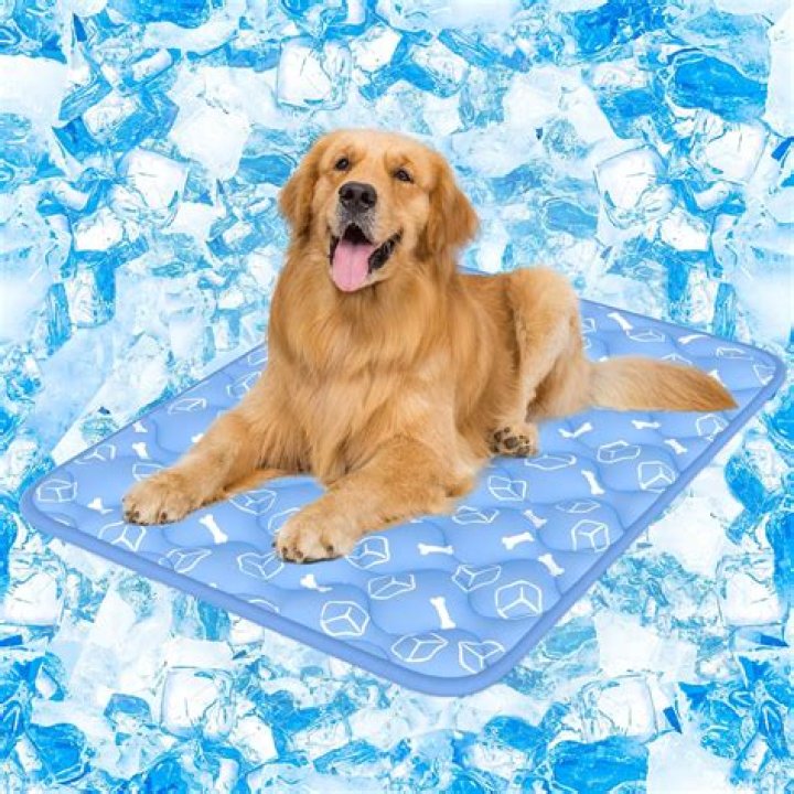 Electric Cool Mats: Your Ultimate Cooling Solution