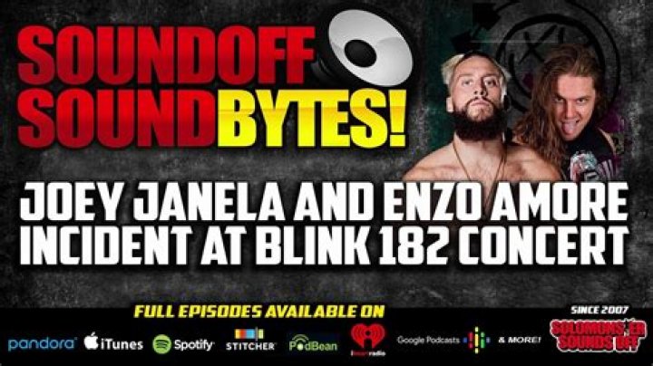 Enzo Amore & Joey Janela Get Into A Fight At Blink-182 Concert