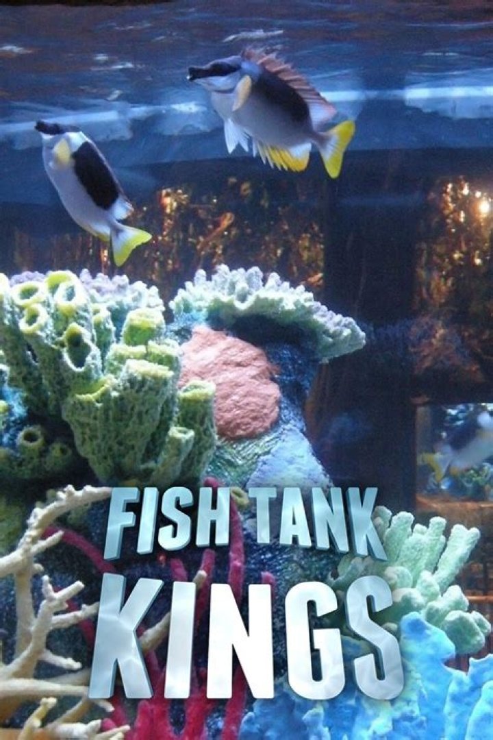 Who Is Fish Tank Kings' Heather? Find Out Her Full Name Today!
