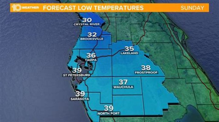 Florida Gets Rare Snowfall as Temperatures Plunge