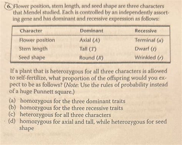 The Ultimate Guide To Seed Shape Design: Enhance Your Crops
