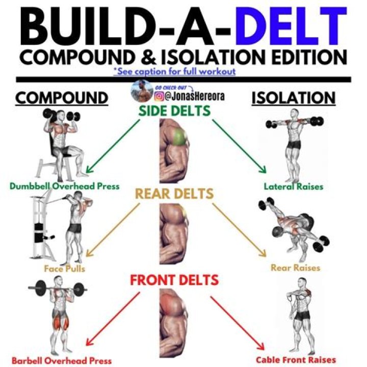Unlocking The Power Of Front Delt Exercises For Superior Shoulder Development