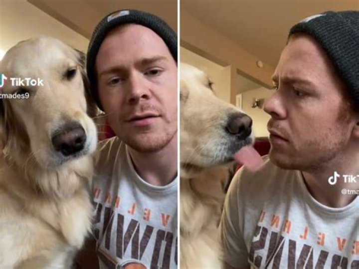 Golden Retriever's 'Secret Language' With Owner Has Internet In Hysterics