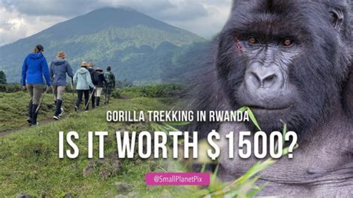 From gorilla trekking in Rwanda to nights out in Nashville - The Sun travel team reveal their top destinations from 2023