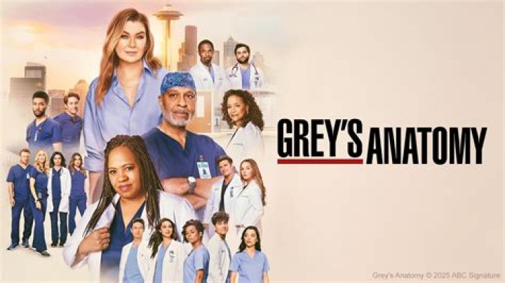‘Grey’s Anatomy’ Season 19: Meet the New Residents, Actors