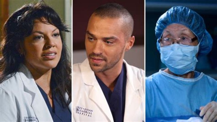 'Grey’s Anatomy' Stars’ Thoughts on Ellen Pompeo Leaving