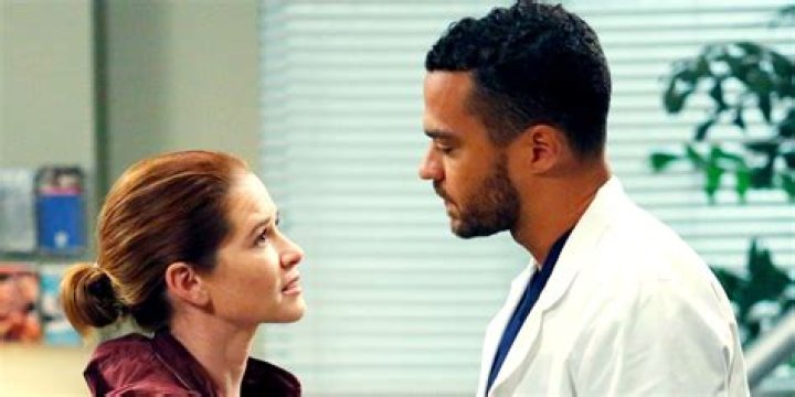Grey's Anatomy's Jesse Williams Teases Jackson and April's Return