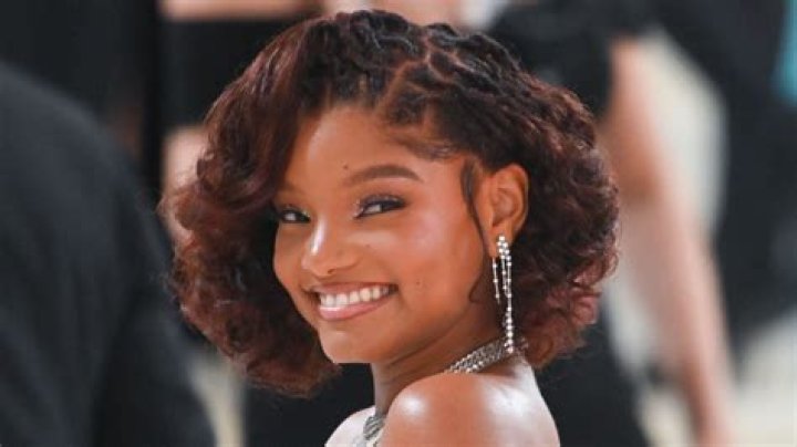 Halle Bailey's Met Gala Hair Is Straight, But It's Locs... But It's Straight? — See Photos