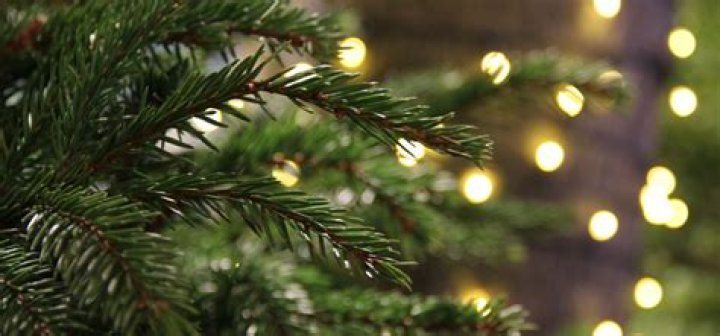 Hallmark announces popular Christmas movie will return this season with a sequel