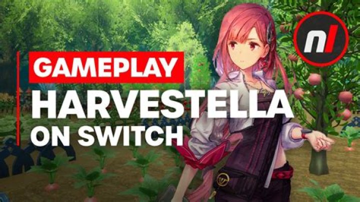 Harvestella Multiplayer: Does It Have Co-Op?