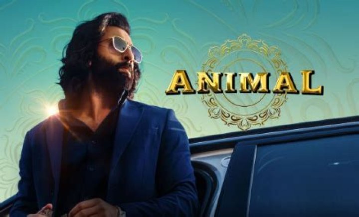 All The Information You Require To Understand HDMIVIEHUB, The Best Streaming Experience Available.